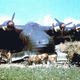 Illustration for article titled This Giant Nazi Plane Was The Largest Land-Based Transport Of WWII